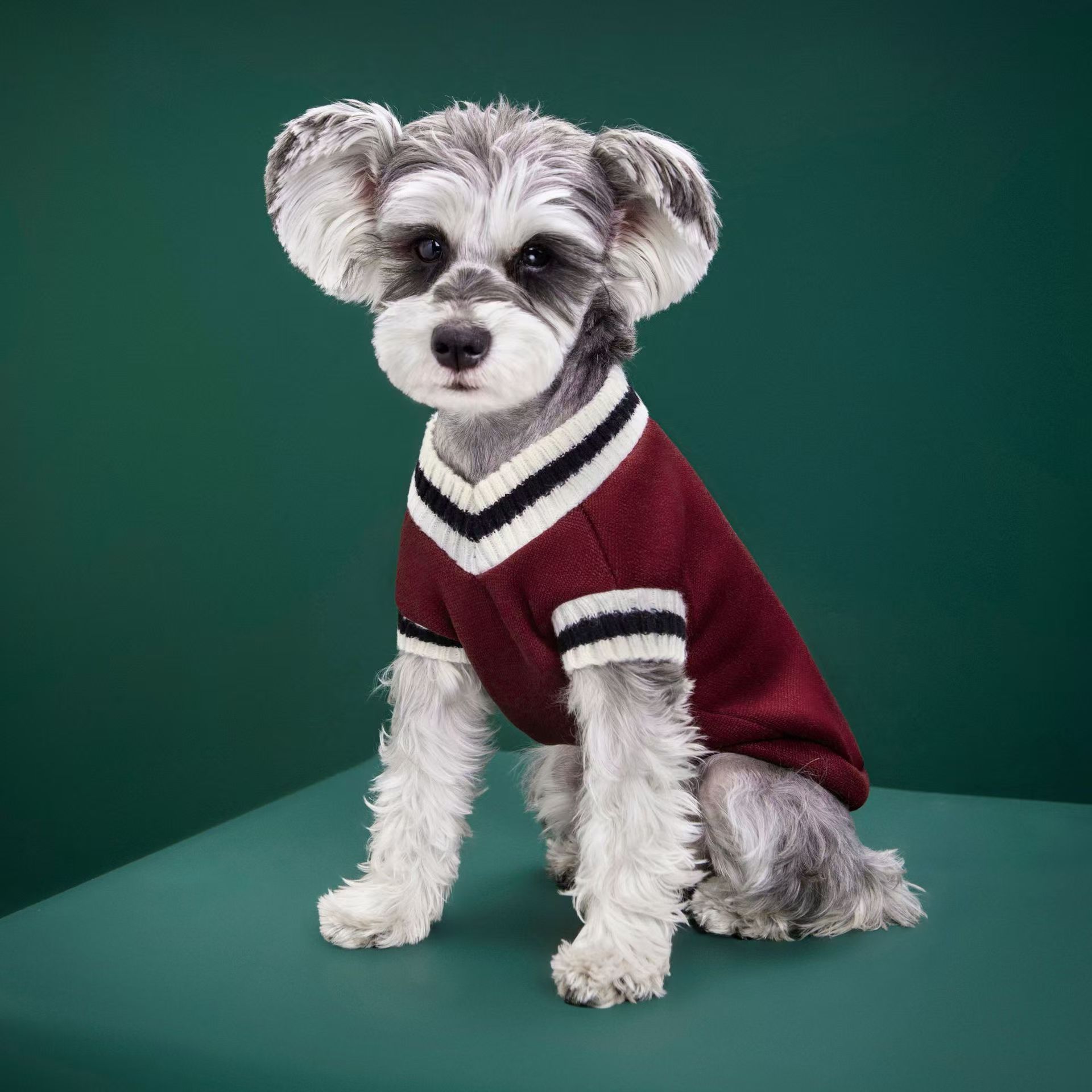 Dog Clothing Manufacturer Whol - đánh giá và giá Winter Clothing Manufacturers