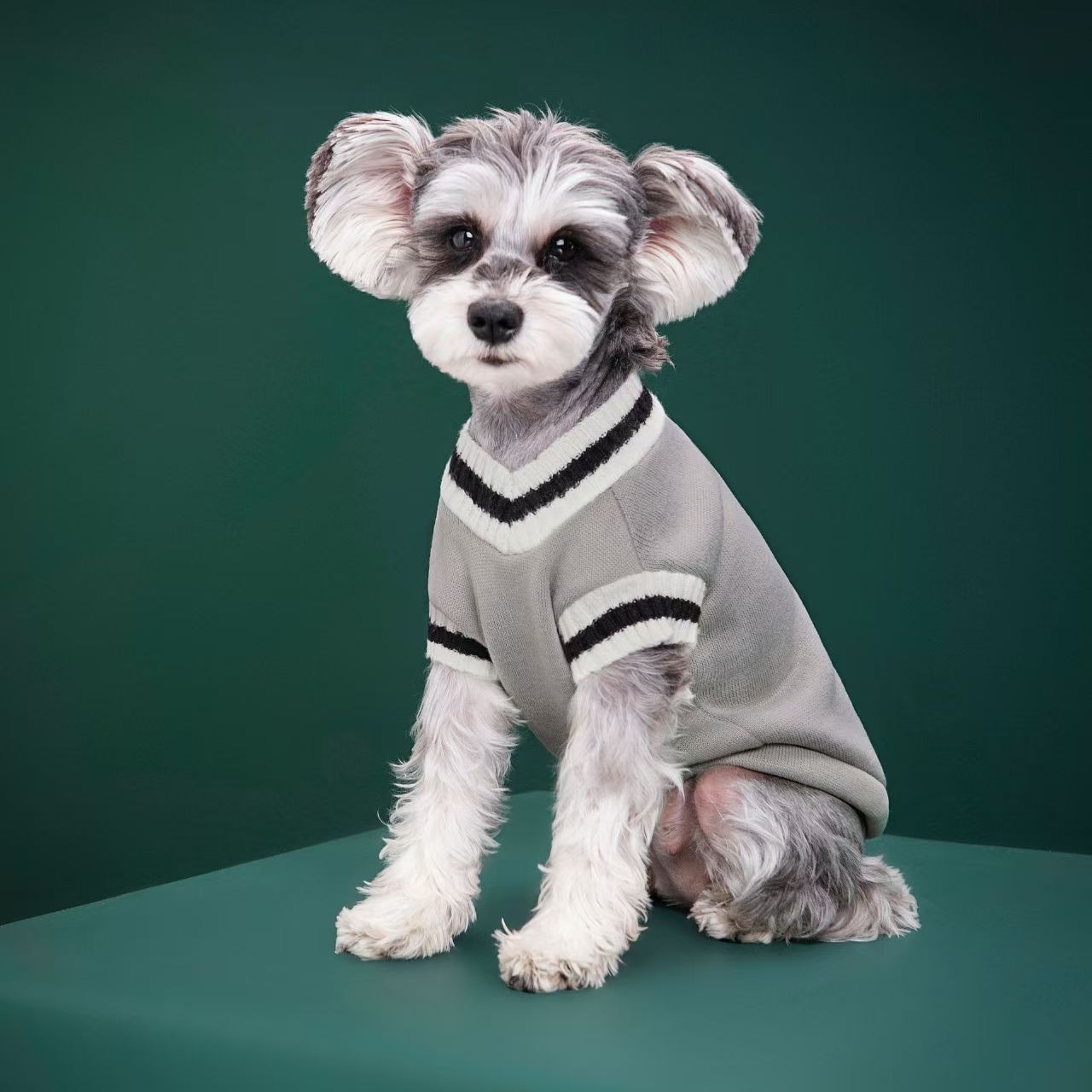 Dog Clothing Manufacturer Whol - đánh giá và giá Winter Clothing Manufacturers