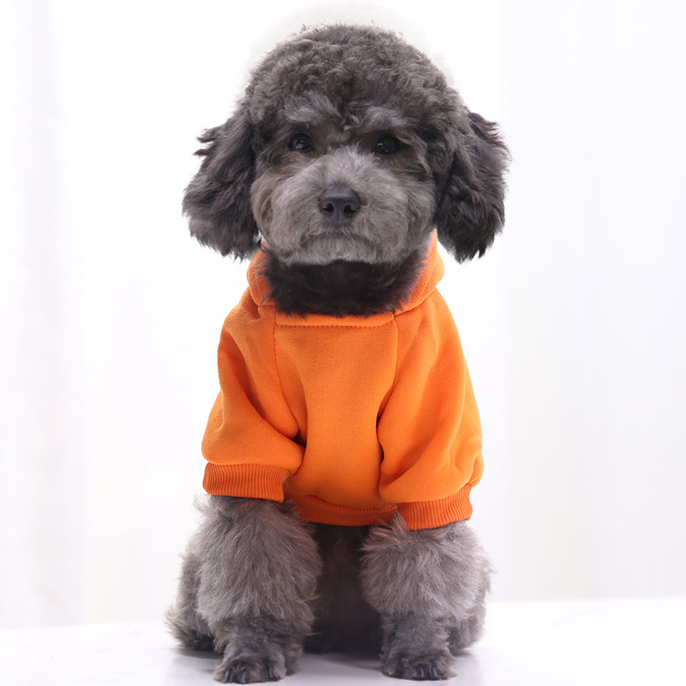 Pet Autumn and Winter Sweater  - đánh giá và giá Winter Clothing Manufacturers