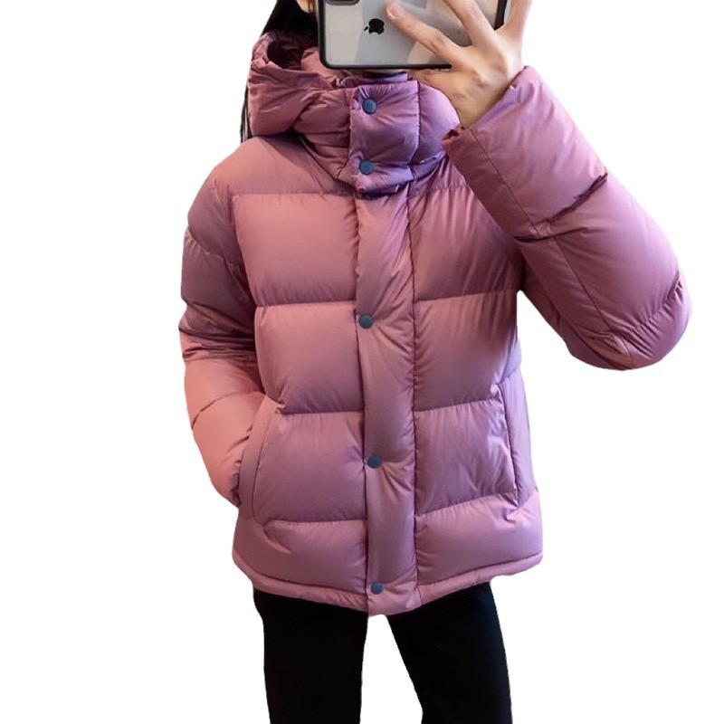 2026 Winter Hooded Puffer Down - đánh giá và giá Puffer Jacket Women Down